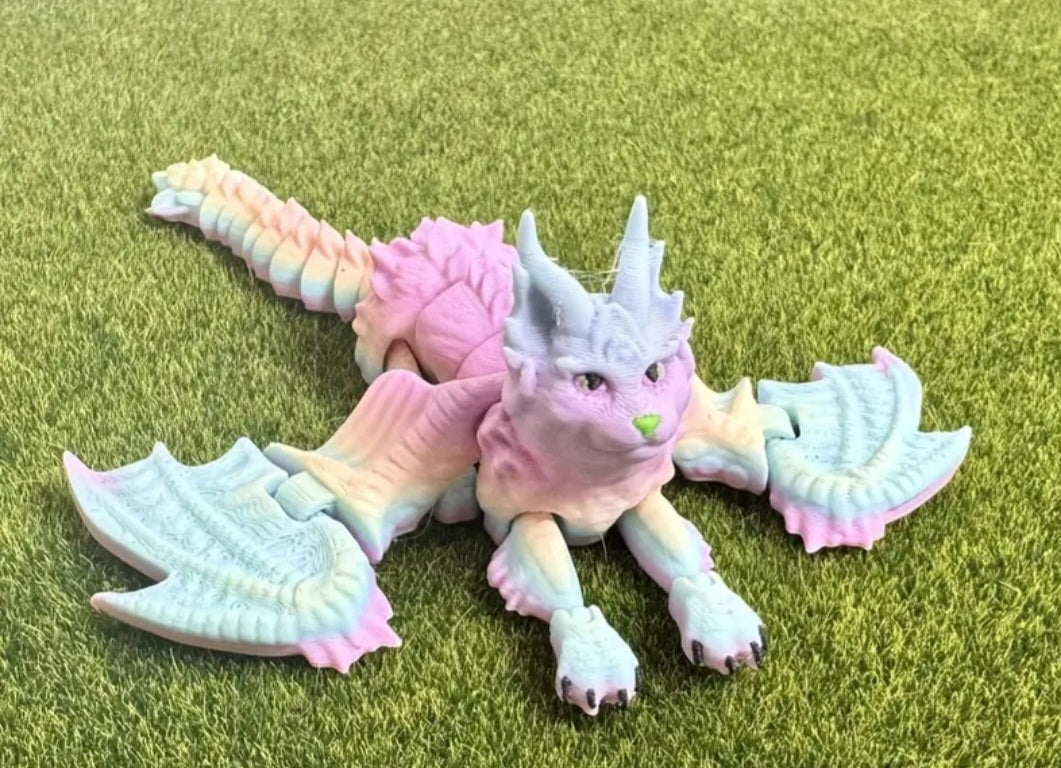 Katzendrache rainbow