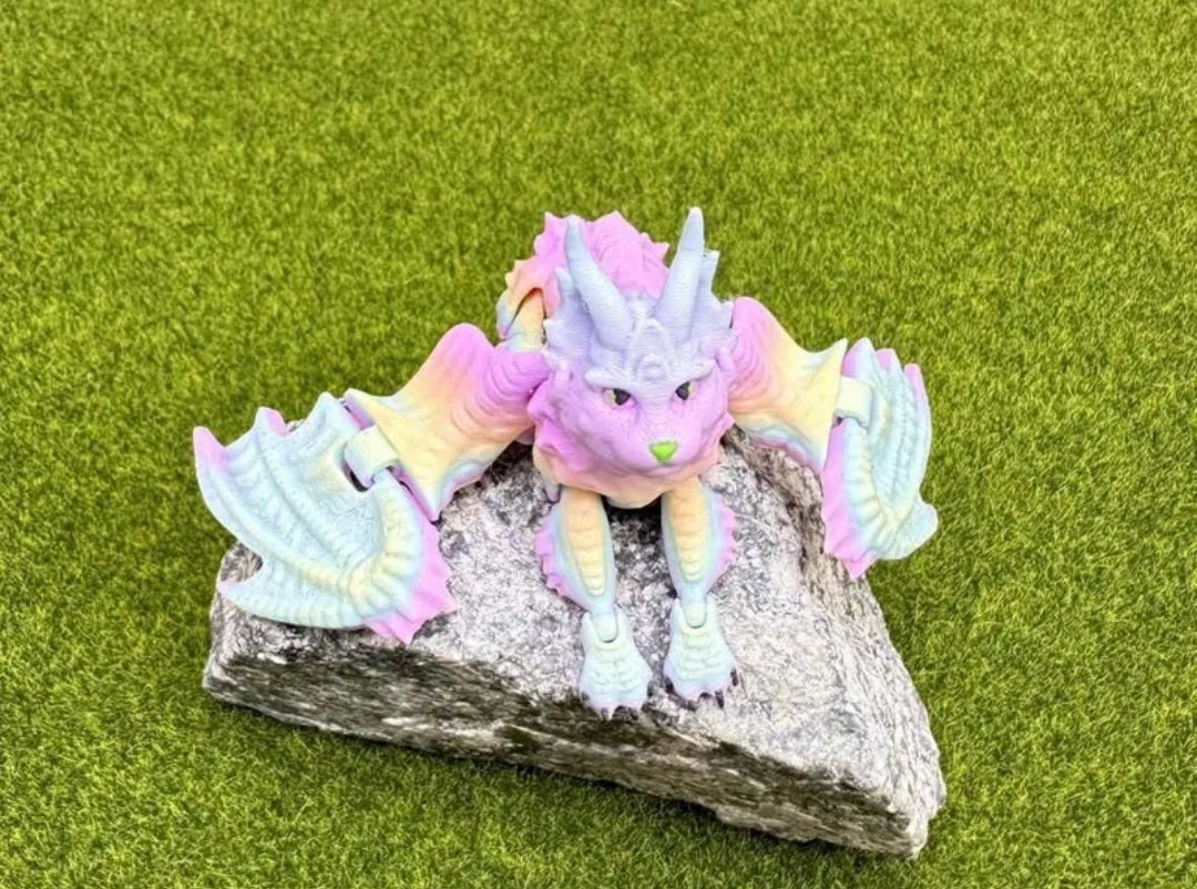 Katzendrache rainbow