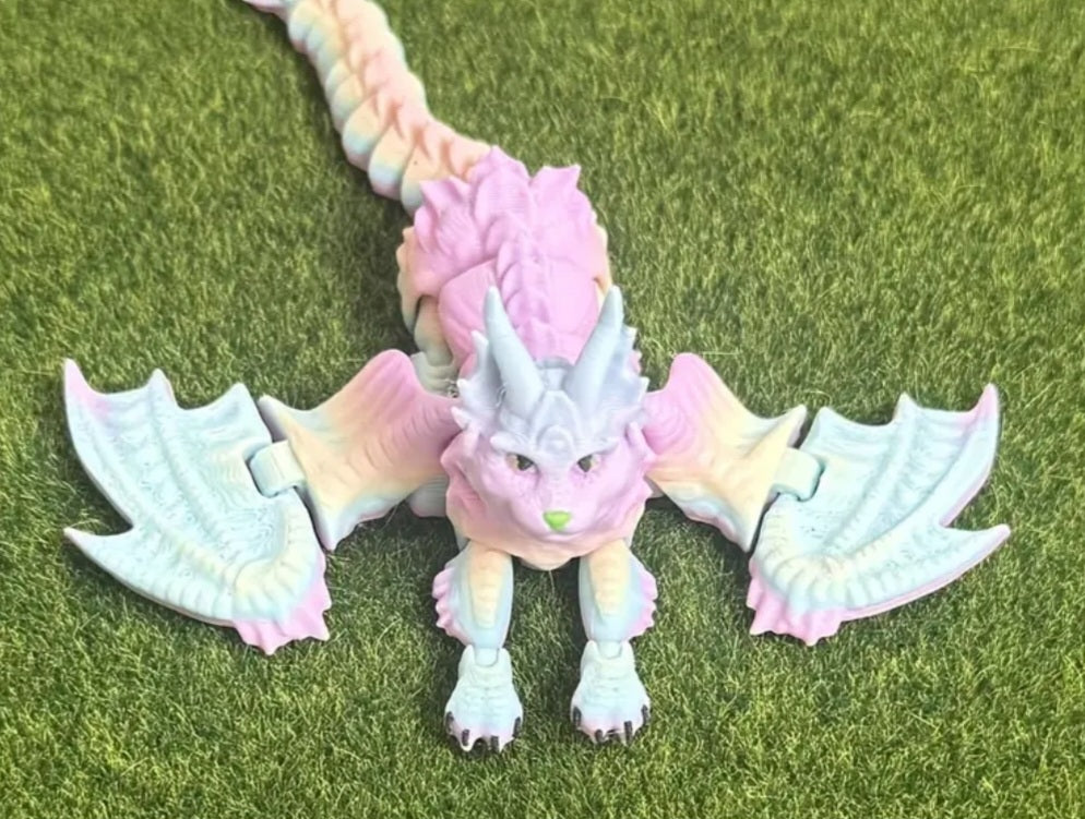 Katzendrache rainbow